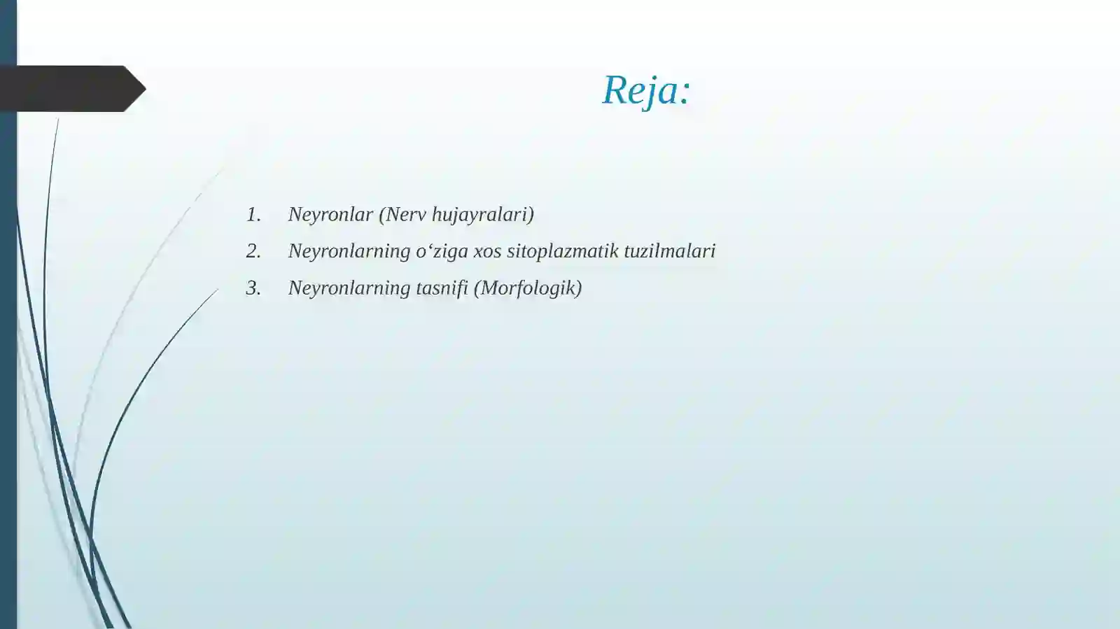 Nerv to'qimasi 2