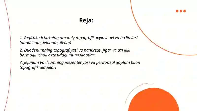 Hayvonlarni Ingichka va yo'g'on ichaklar bo'limi topografiyasi 2