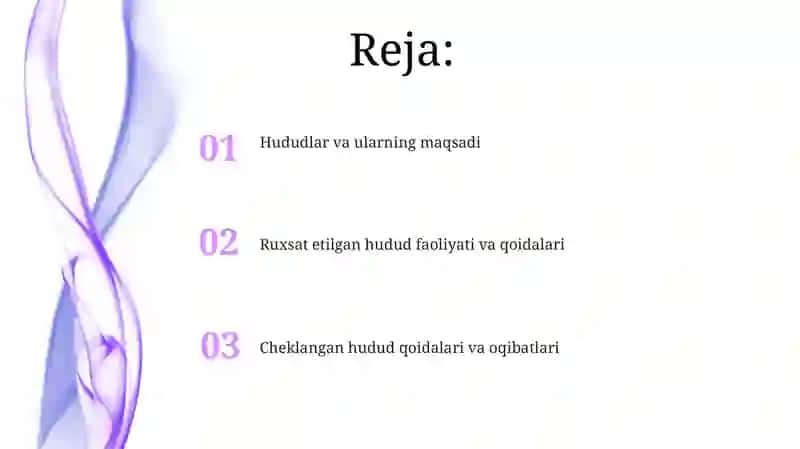 Zòna tuzilishi. Taqiqlangan va ruxsat etilgan zònalar 2