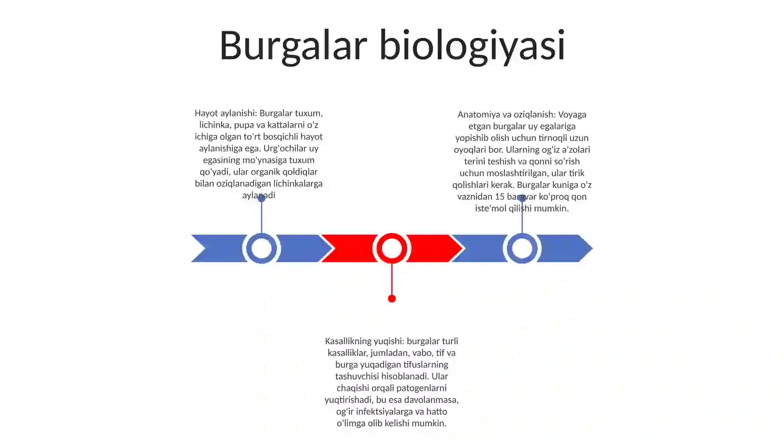 Burgalar biologiyasi 2