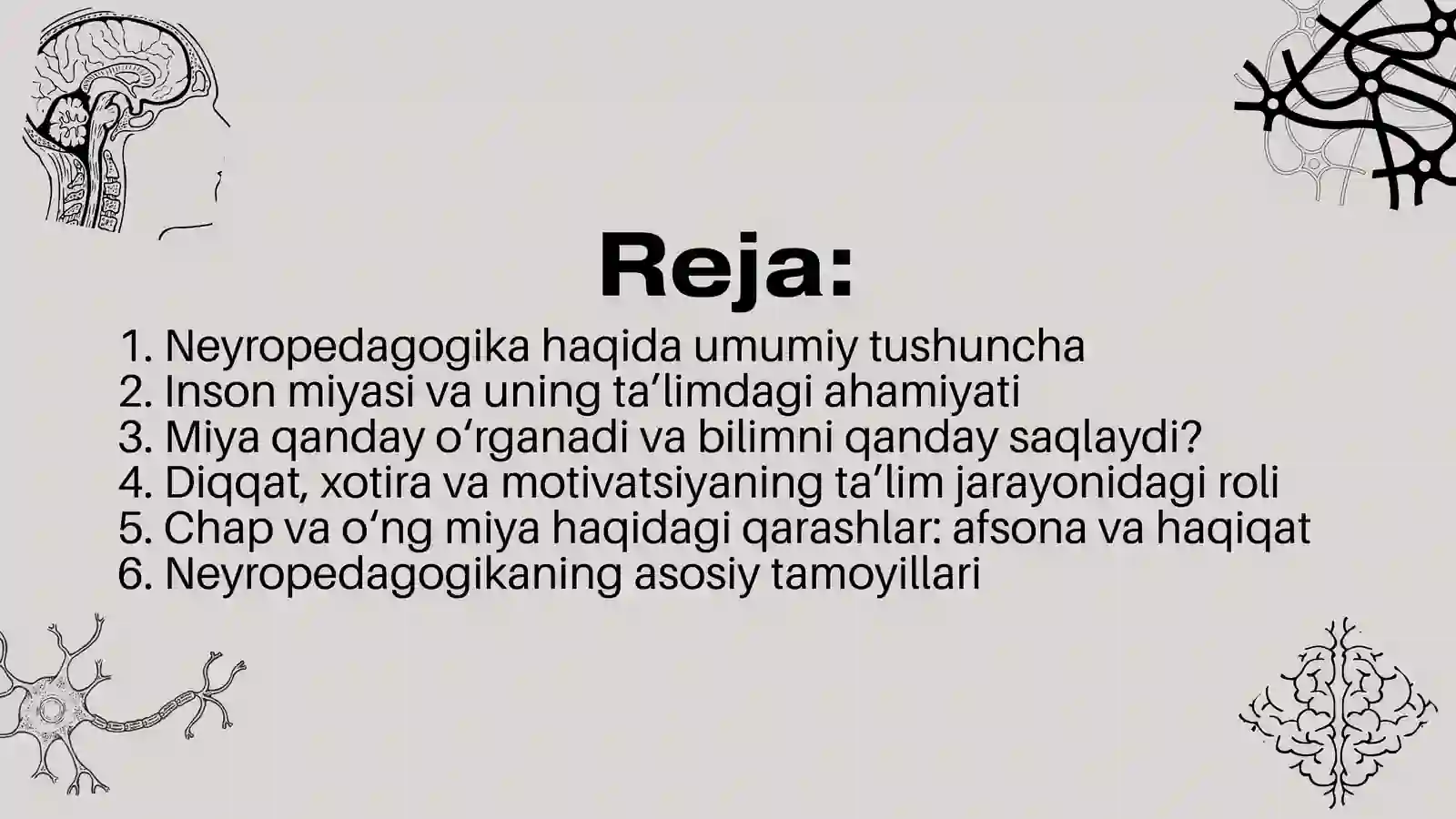 Neyropedagogika: miya va ta'lim 2