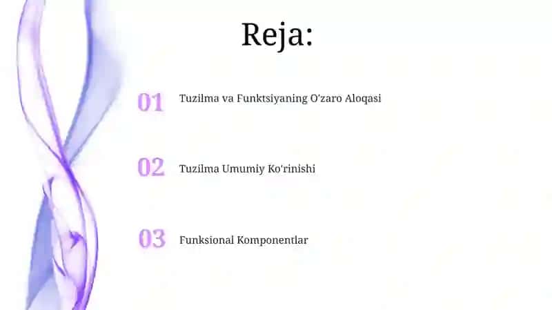 Tuzilma va Funktsiyaning O'zaro Aloqasi 2