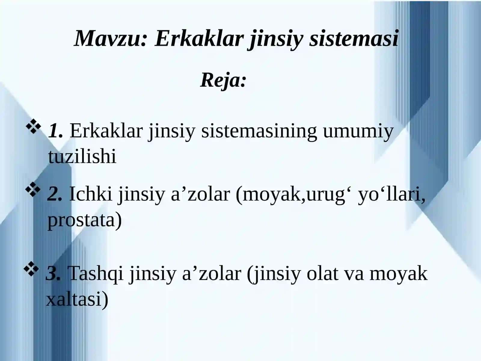 Erkaklar jinsiy sistemasi. 2