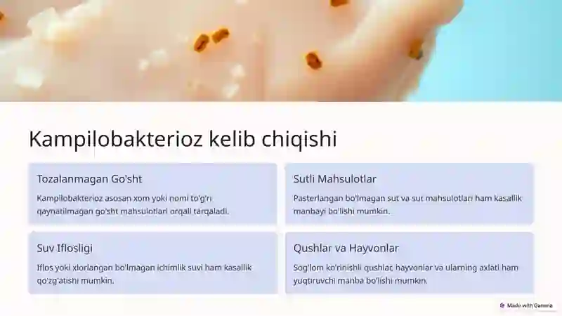 Kampilobakterioz 2