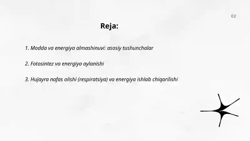 Modda va energiya almashinuvi 2