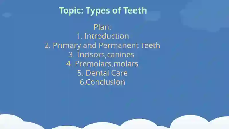 Types of Teeth 2