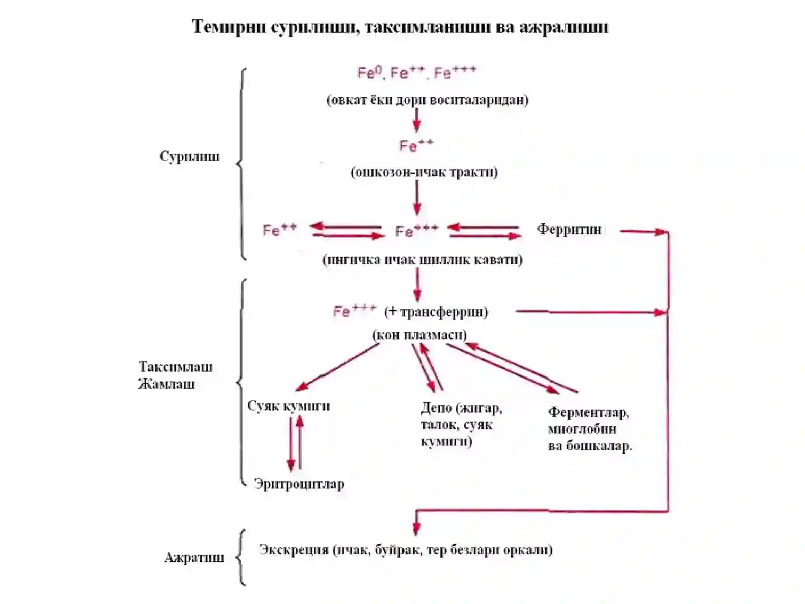 Темир сульфат –Ferrisulfas(табл.,капс) 2