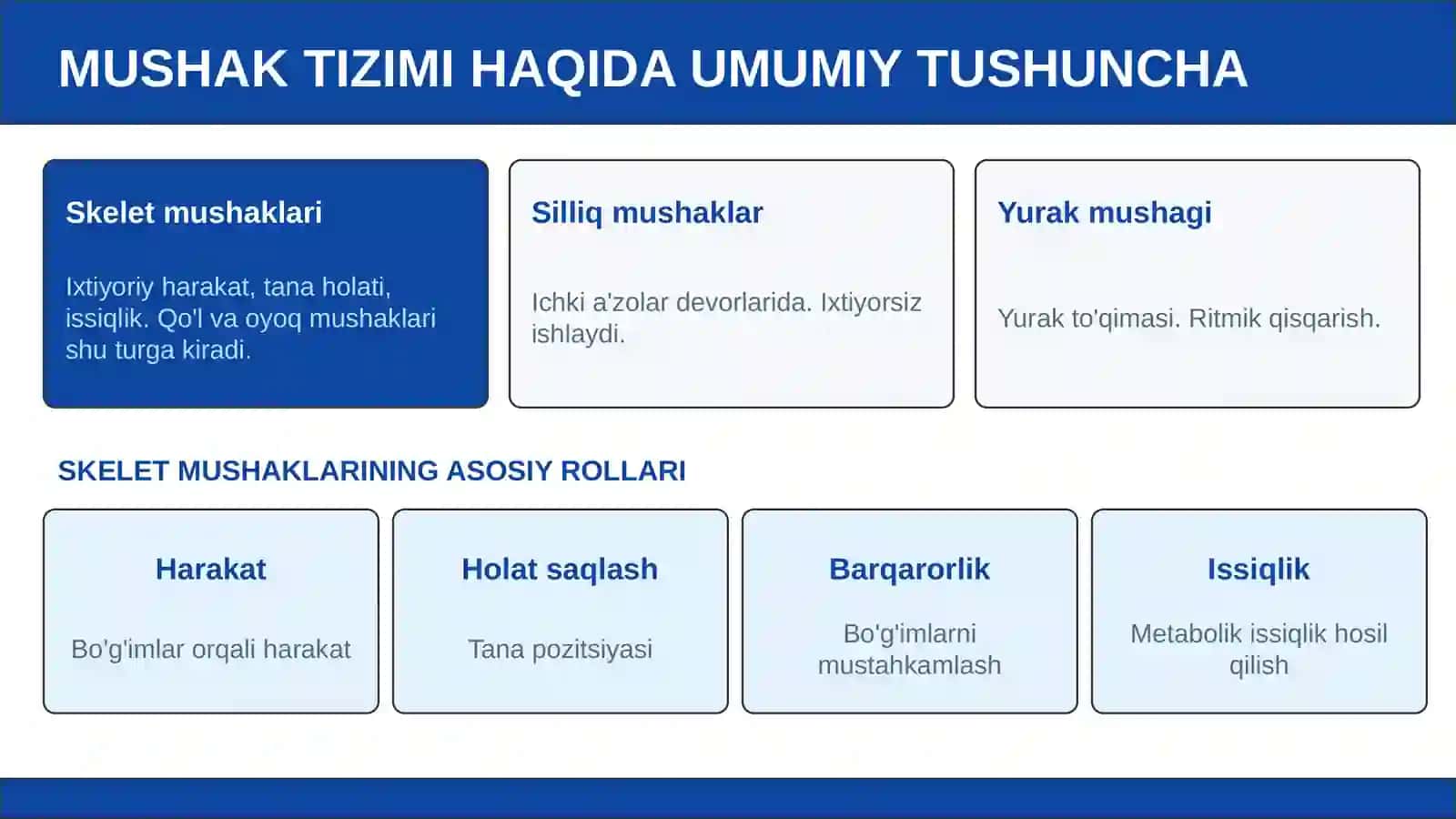 Qo'l va oyoq mushaklari, ularning yoshga qarab o'zgarishi 2
