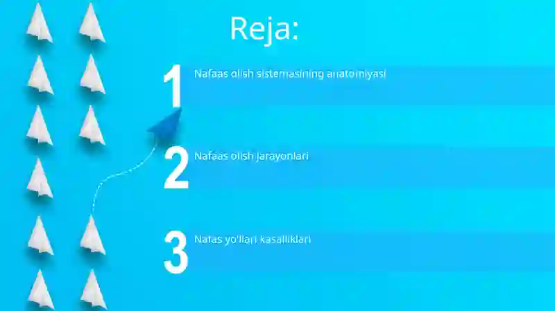 Organizim nafas olish organlari sistemasi 2