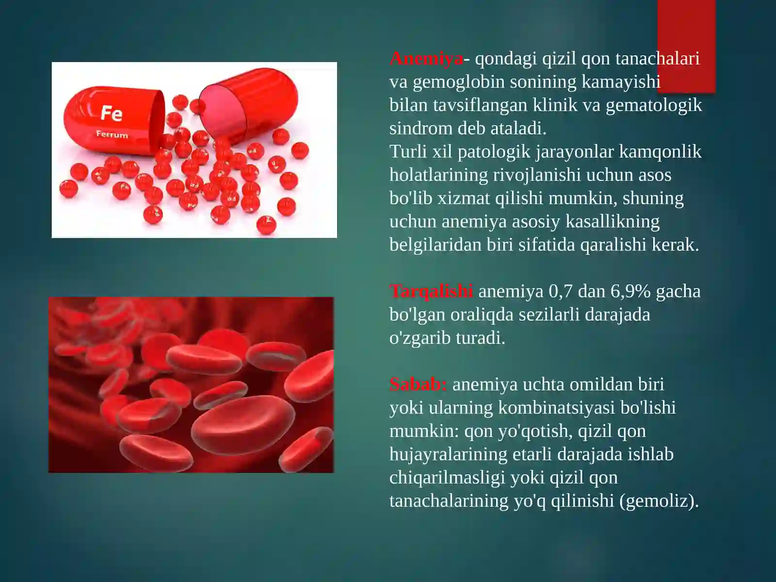 Temir tanqisligi anemiyasi 2