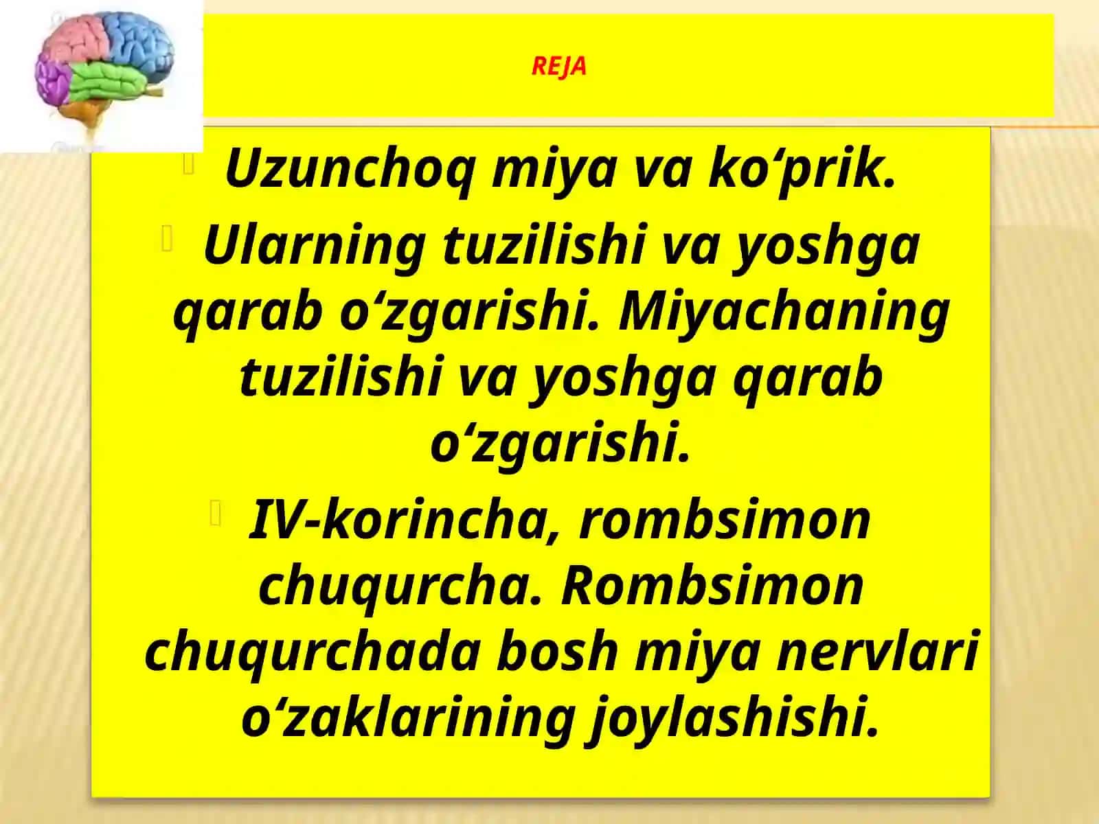 Uzunchoqmiyavako‘prik 2