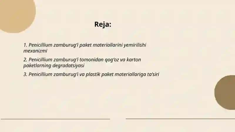 Penicillium zamburugʻi paket tarkibini yemirilishi 2