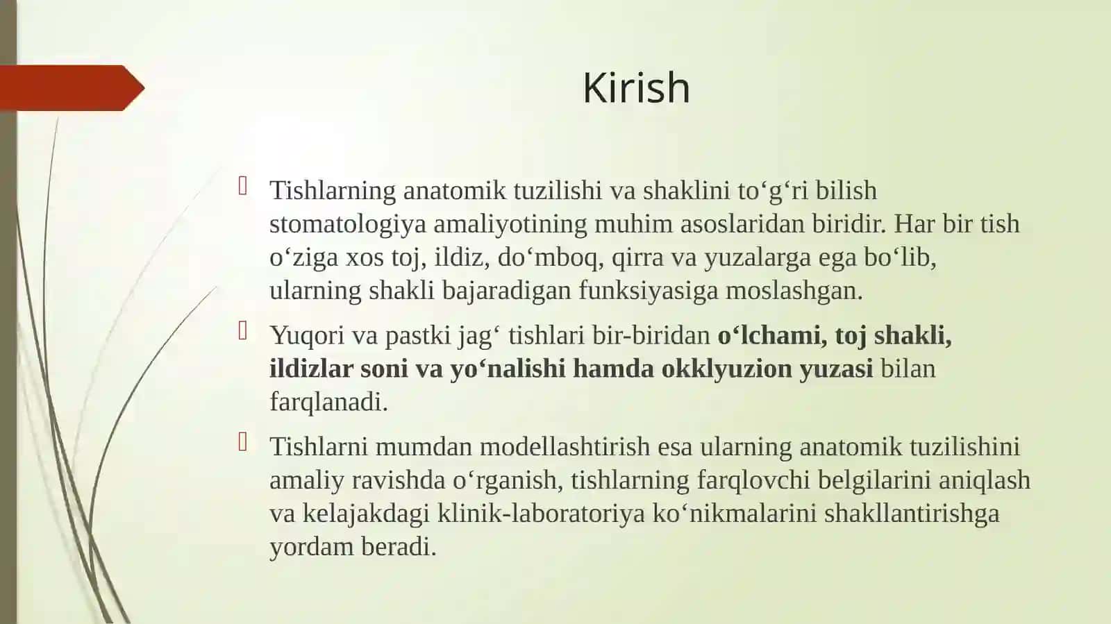 Yuqorivapastkijag‘tishlarining anatomik shaklini minimumdan modellashtirish 2