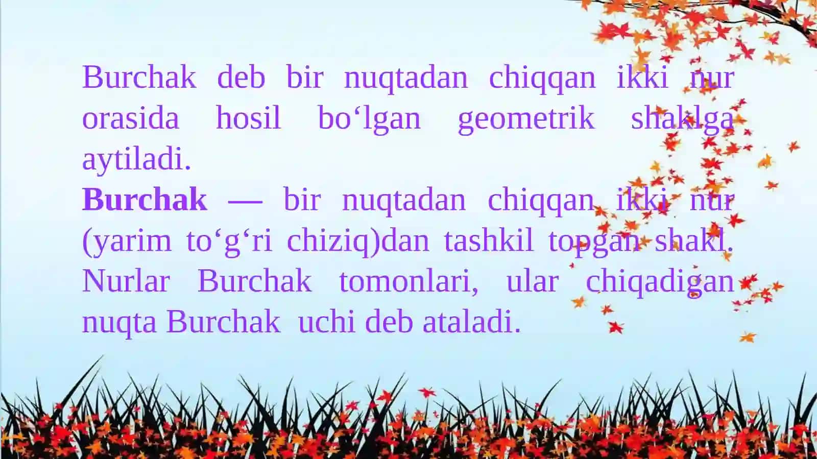Matematika - Burchak turlari, Yoyiq burchak va gradusi 2