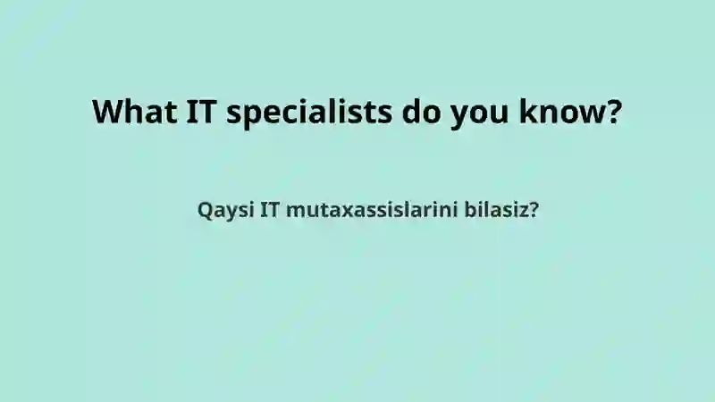 IT Professions 2