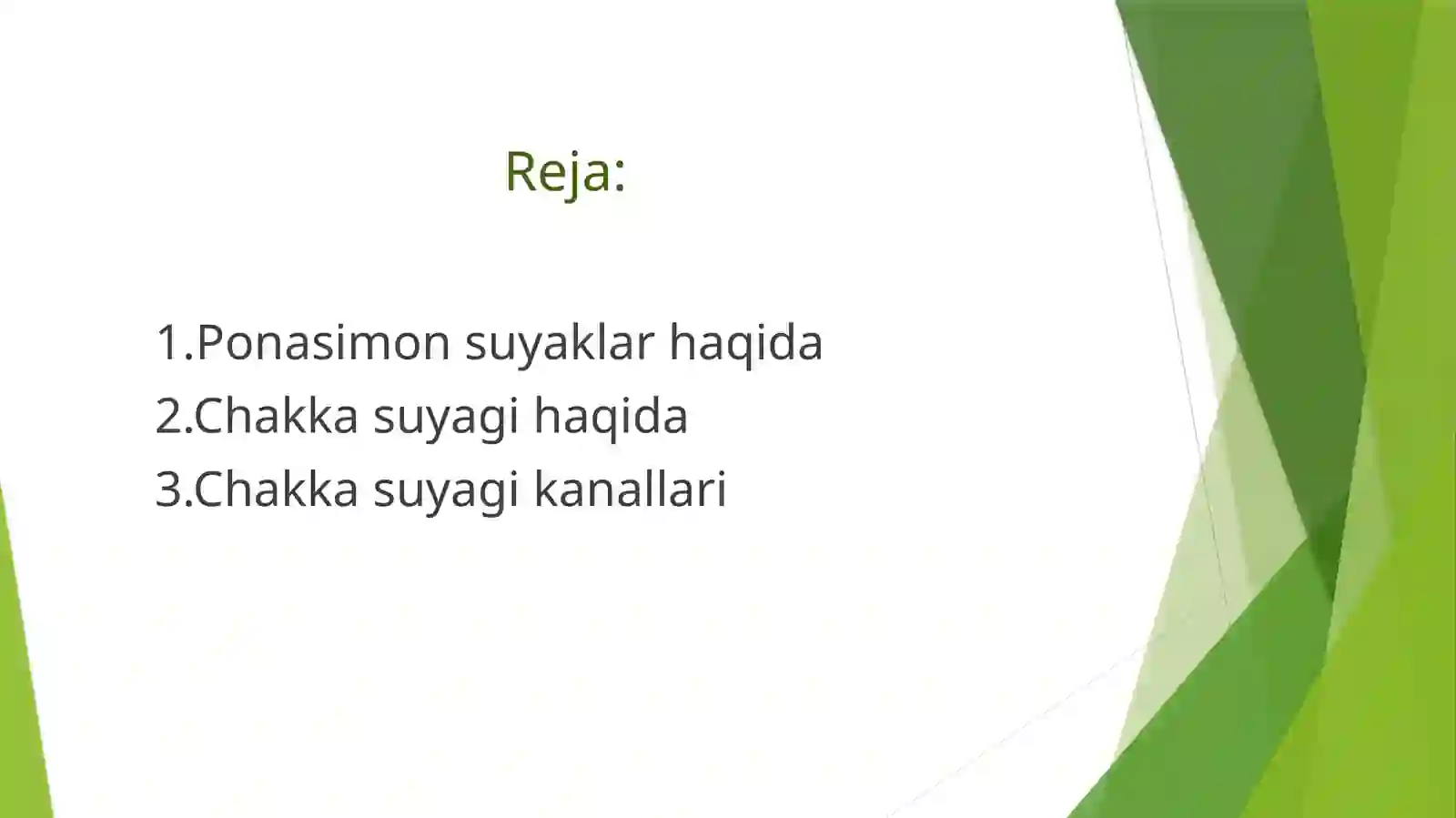 Ponasimon va chakka suyagi 2