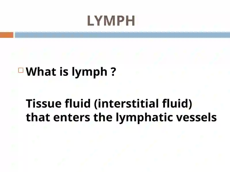 lymphatic system 2