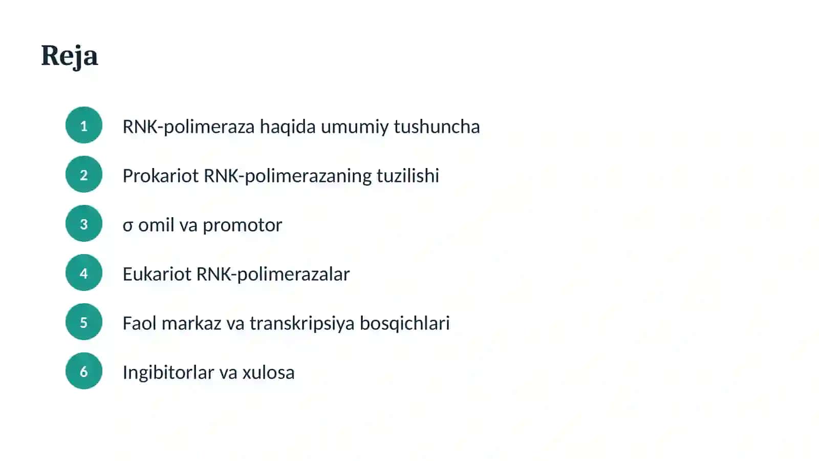 RNK_polimeraza_taqdimot 2