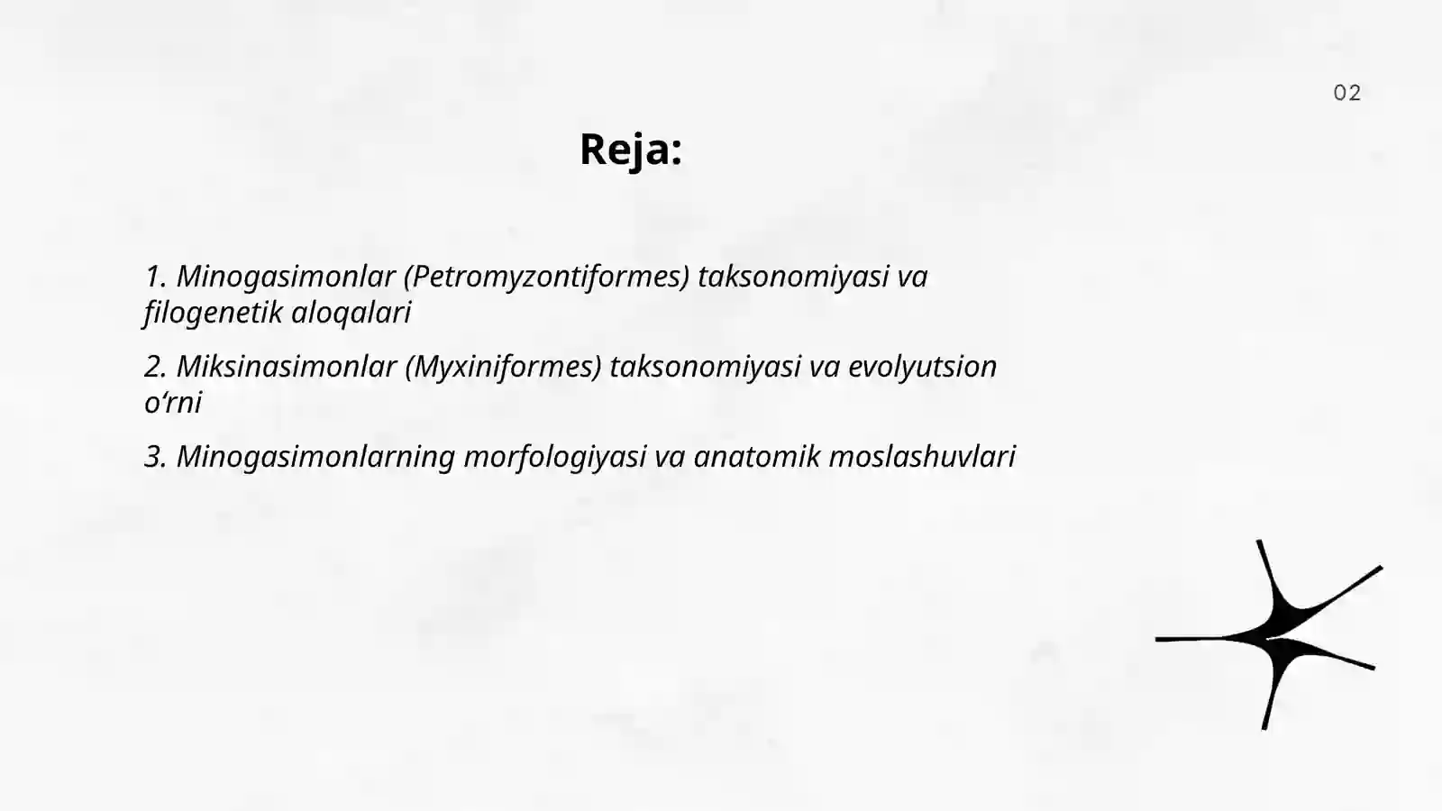 Minogasimonlar-Petpmyzontiformes va Miksinasimonlar-Myxiniformes turkumlari, ekologiyasi va ahamiyati 2