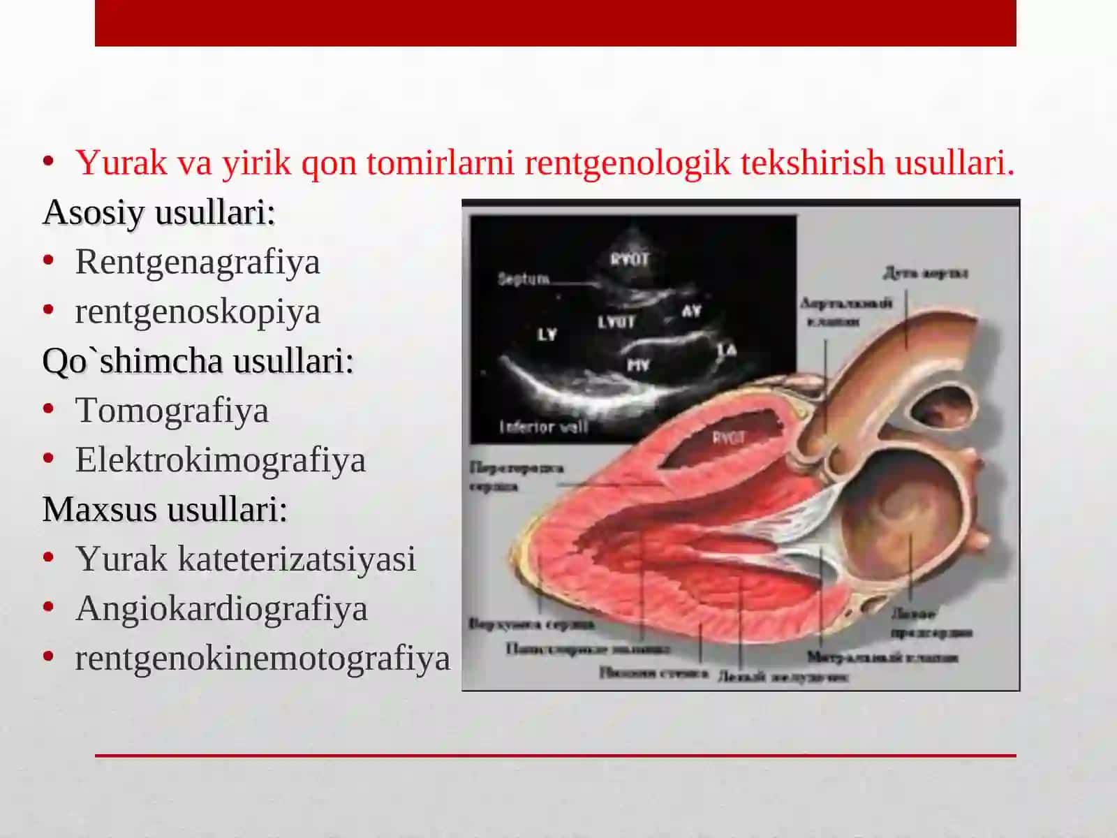 Nur diagnostikasi vaterapiyasi 2