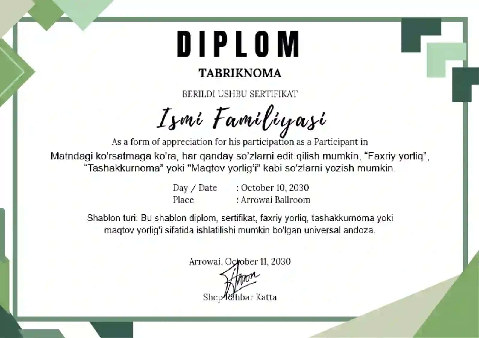 DIPLOM 2