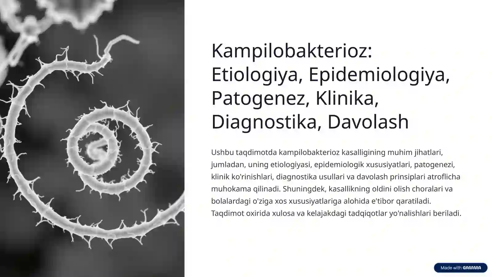 Kampilobakterioz: Etiologiya, Epidemiologiya, Patogenez, Klinika, Diagnostika, Davolash 2