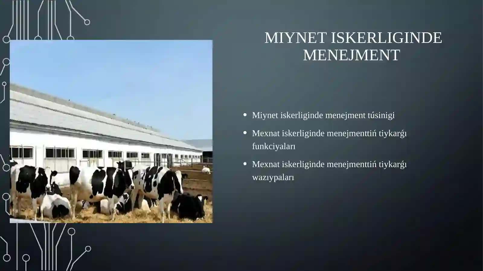 Sharwashiliqta menedjment ham islep shıǵariwdi shólkemlestiriw 2