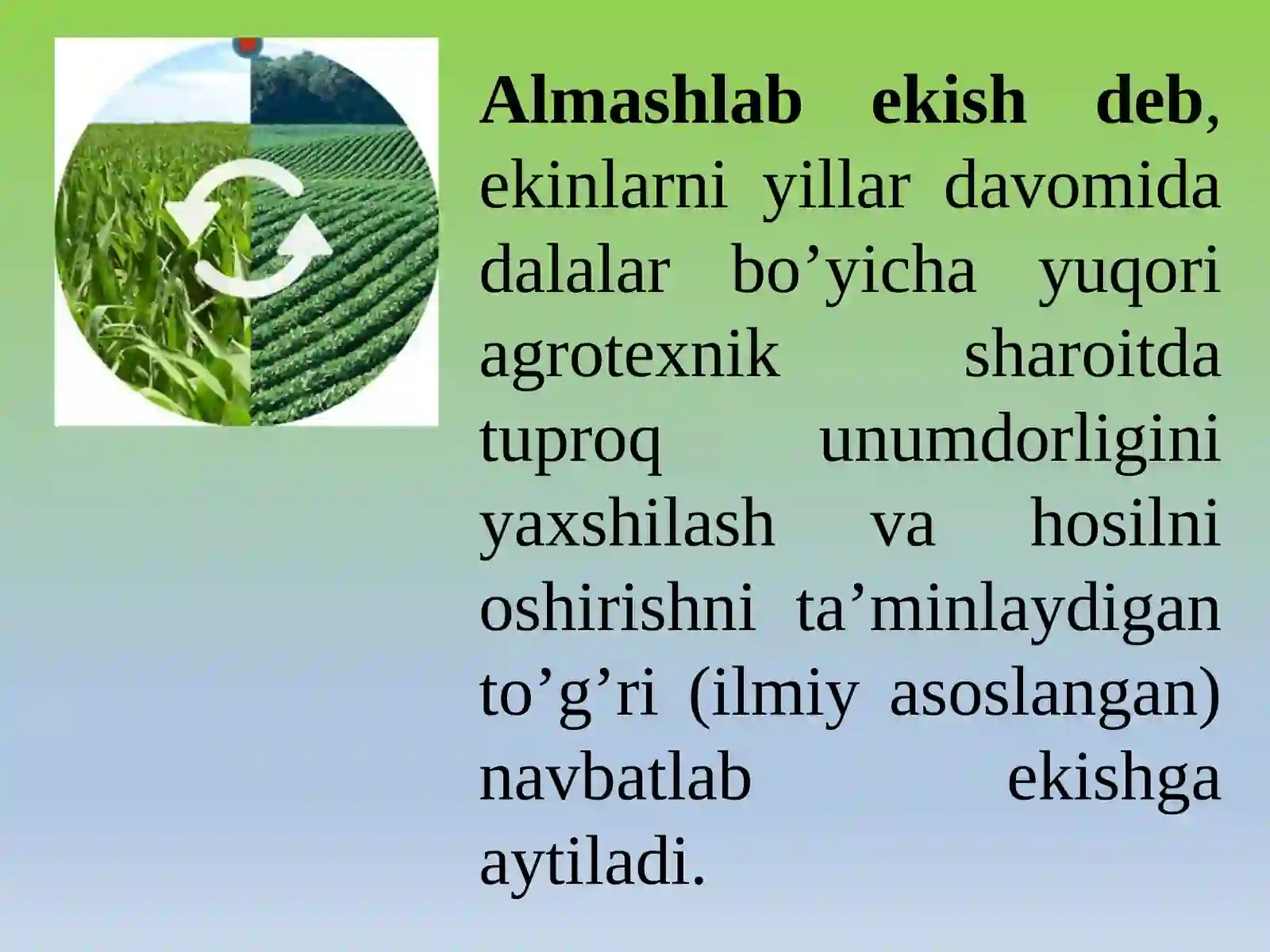 ALMASHLAB EKISH 2