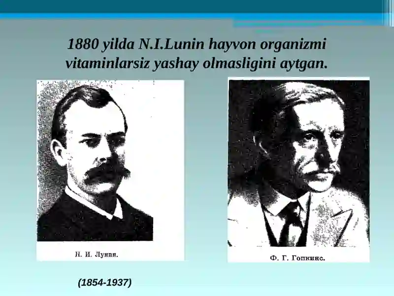 Yog’da eriydigan vitaminlar 2