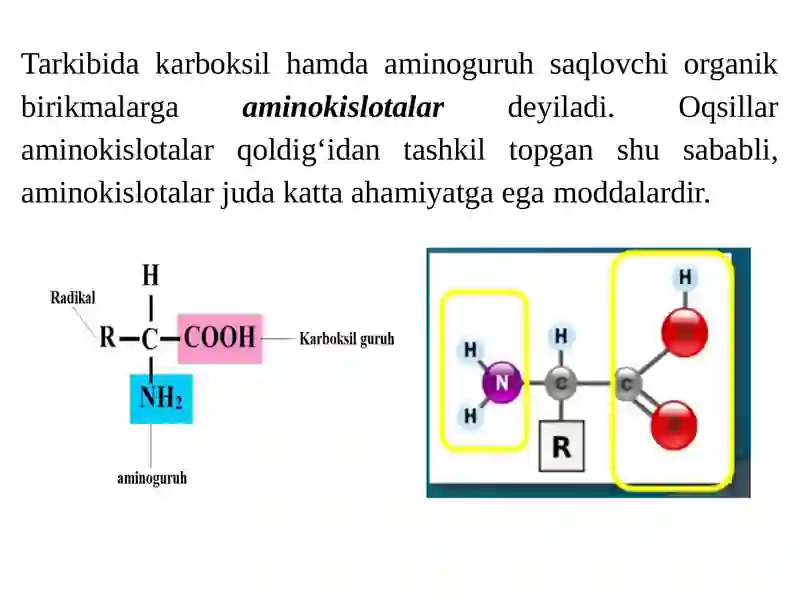 Aminokislotalar, peptidlar va oqsillar 2