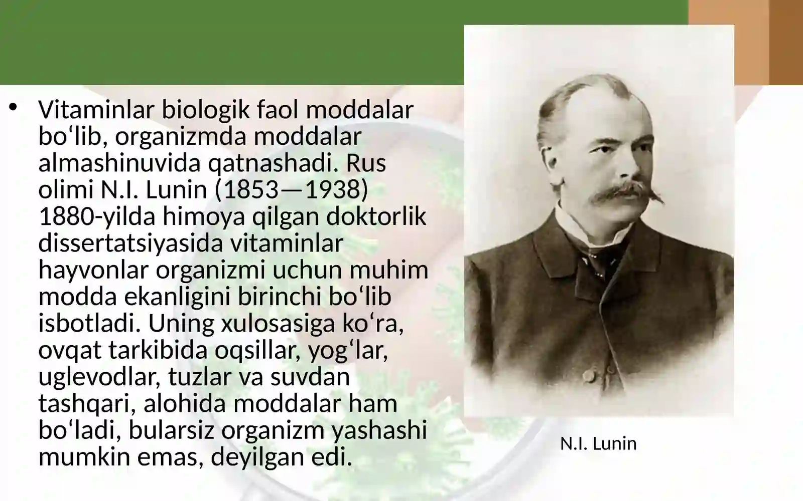 Vitaminlar biologik faol moddalar 2