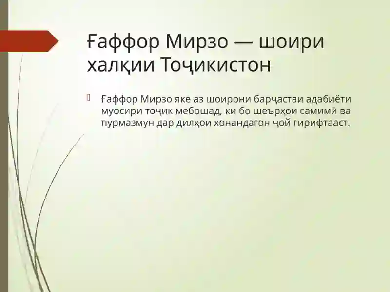Ғаффор Мирзо 2