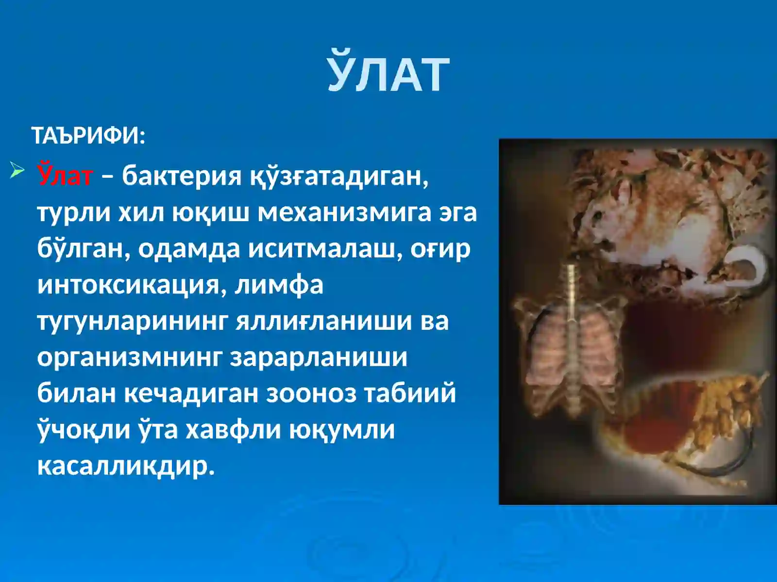 ЎЛАТ 2