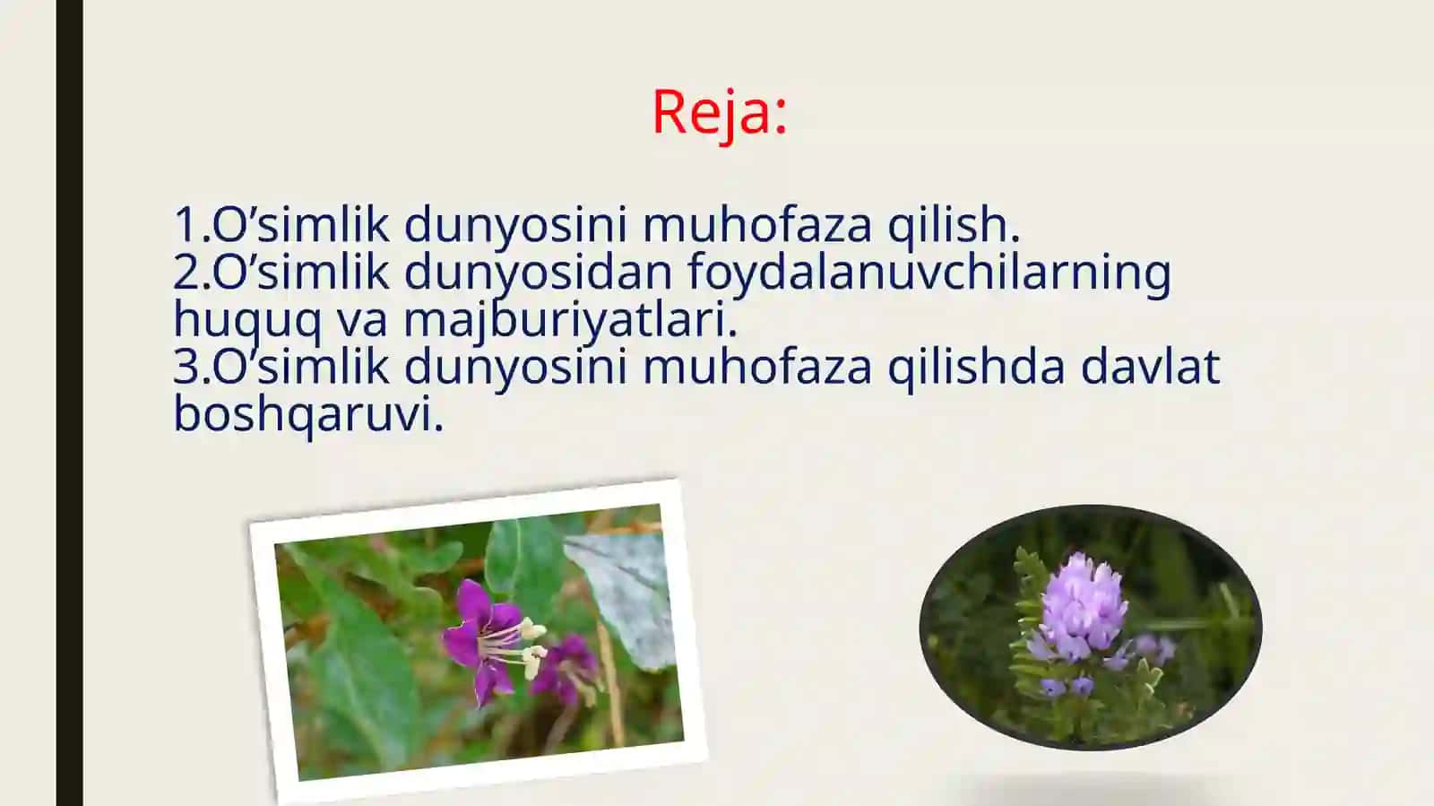 O’Simlik dunyosidan foydalanish va uni muhofaza qilish 2