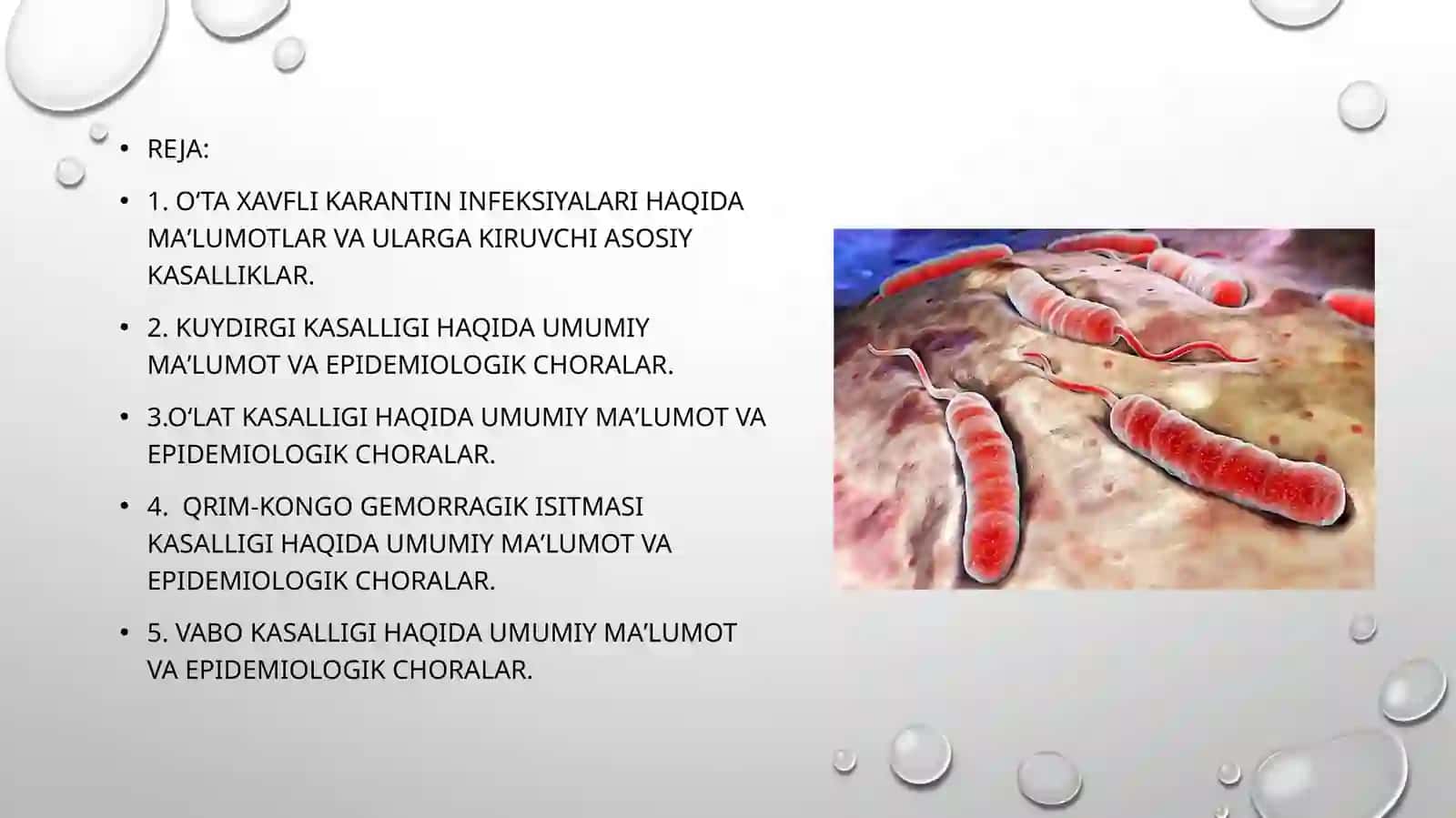 O’ta xavfli karantin infeksiyalarning epidemiologiyasi va profilaktikasi (QKGI, vabo, o’lat, kuydirgi) 2