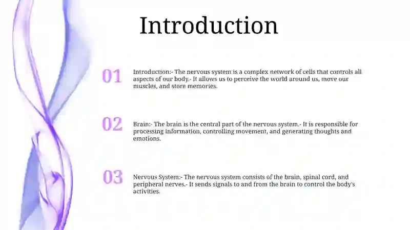Brain And A Nervous System 2