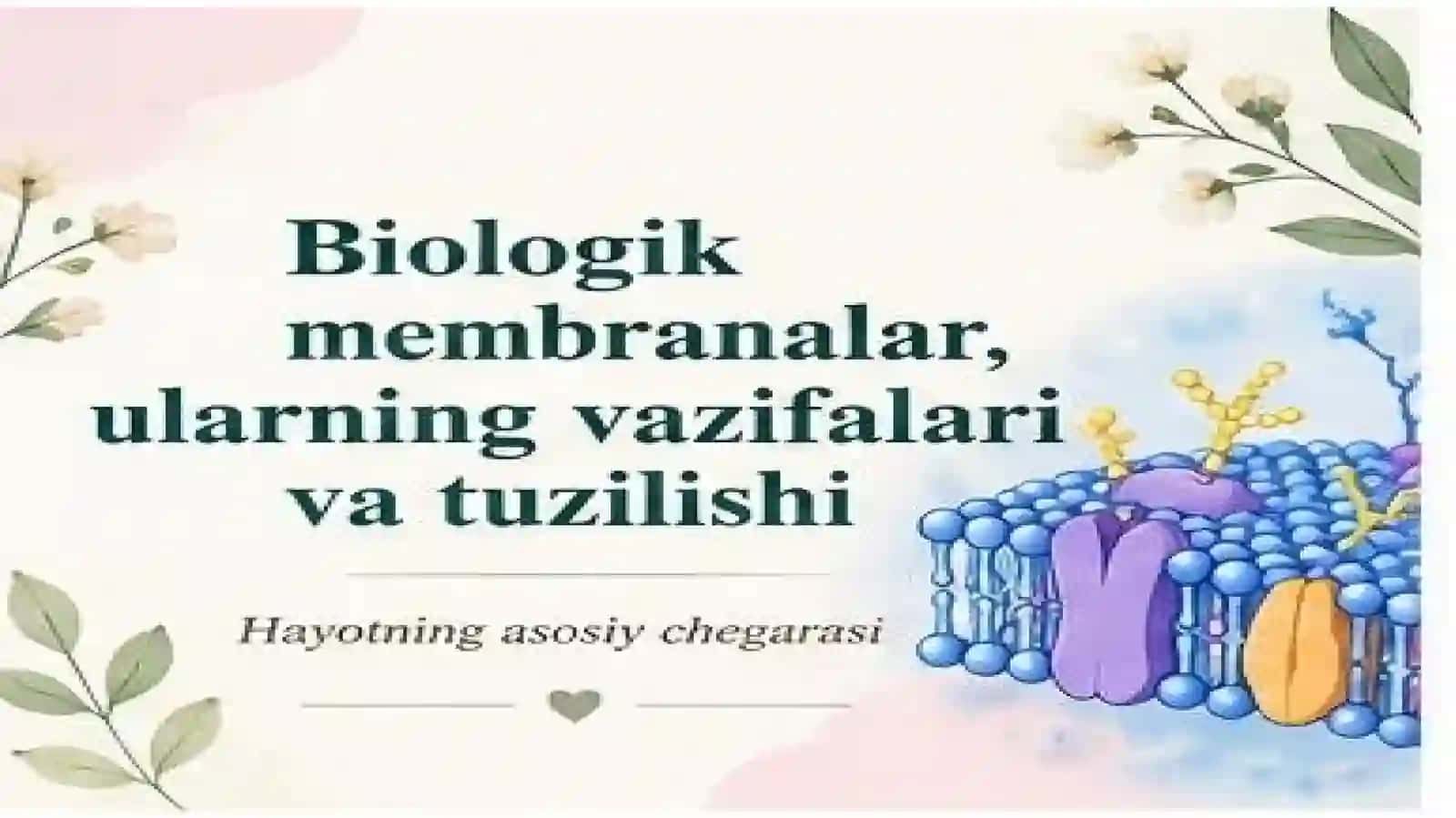 ToshkentDavlatTibbiyotUniversitetiTAYYORLAGAN MUSTAQIL ISHI 2