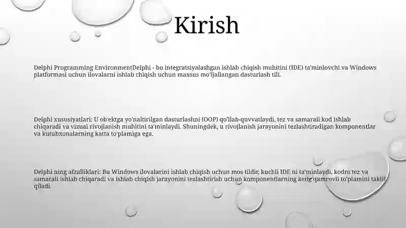 Delphi Dasturlash Muhiti 2