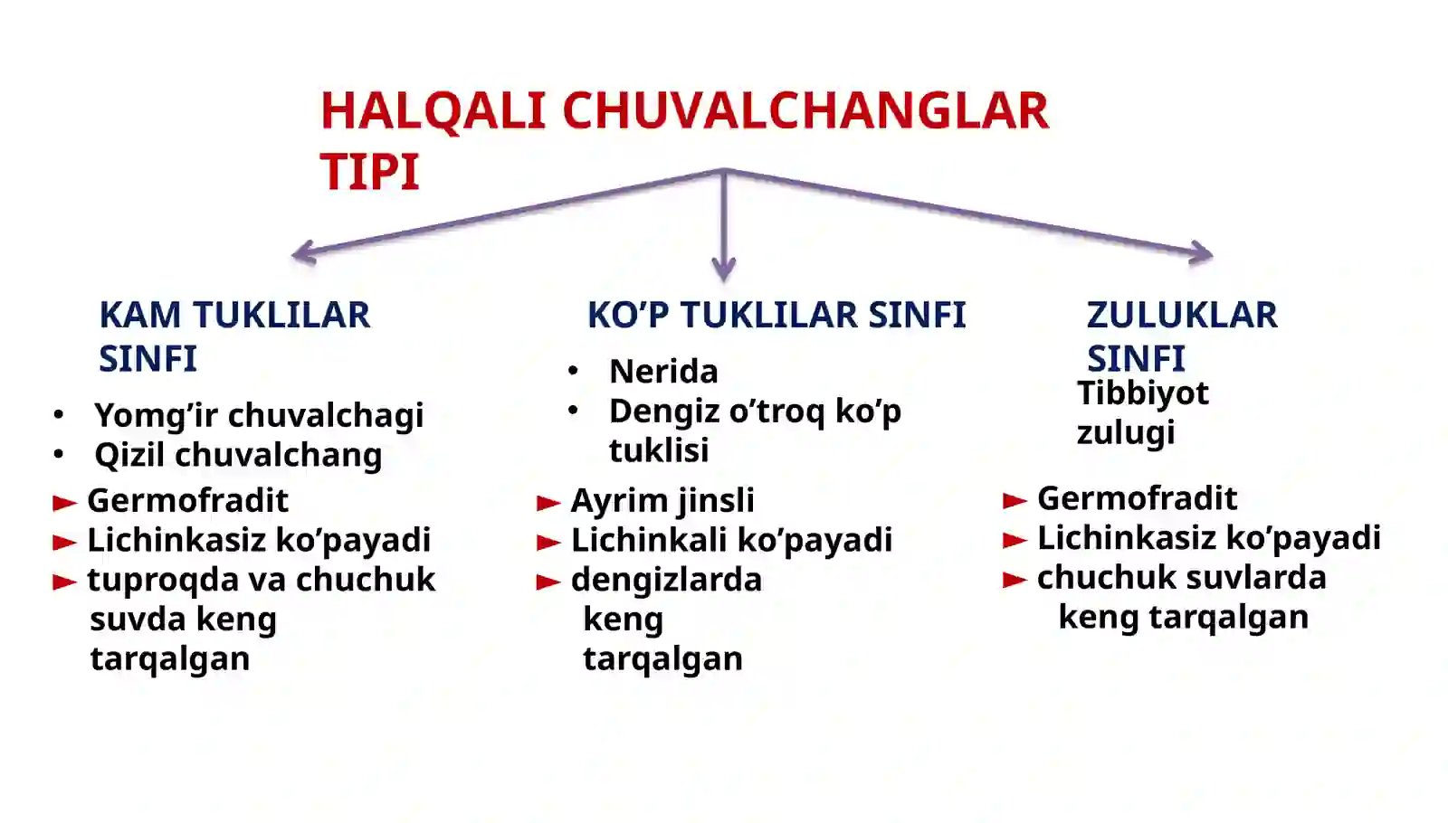 Halqali chuvalchanglar tipi 2