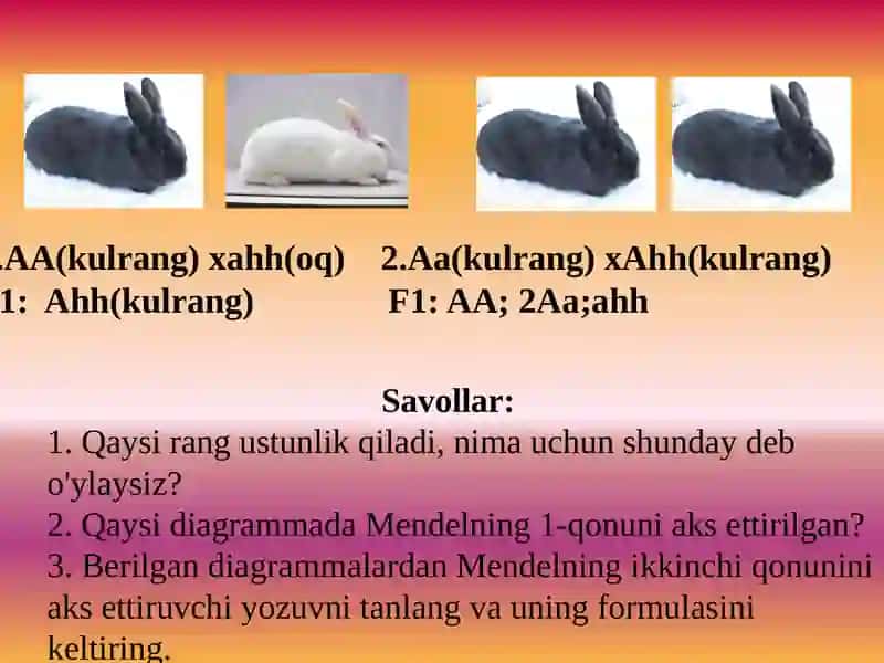JINSGA BIRIKKAN GEN KASALIKLARI 2