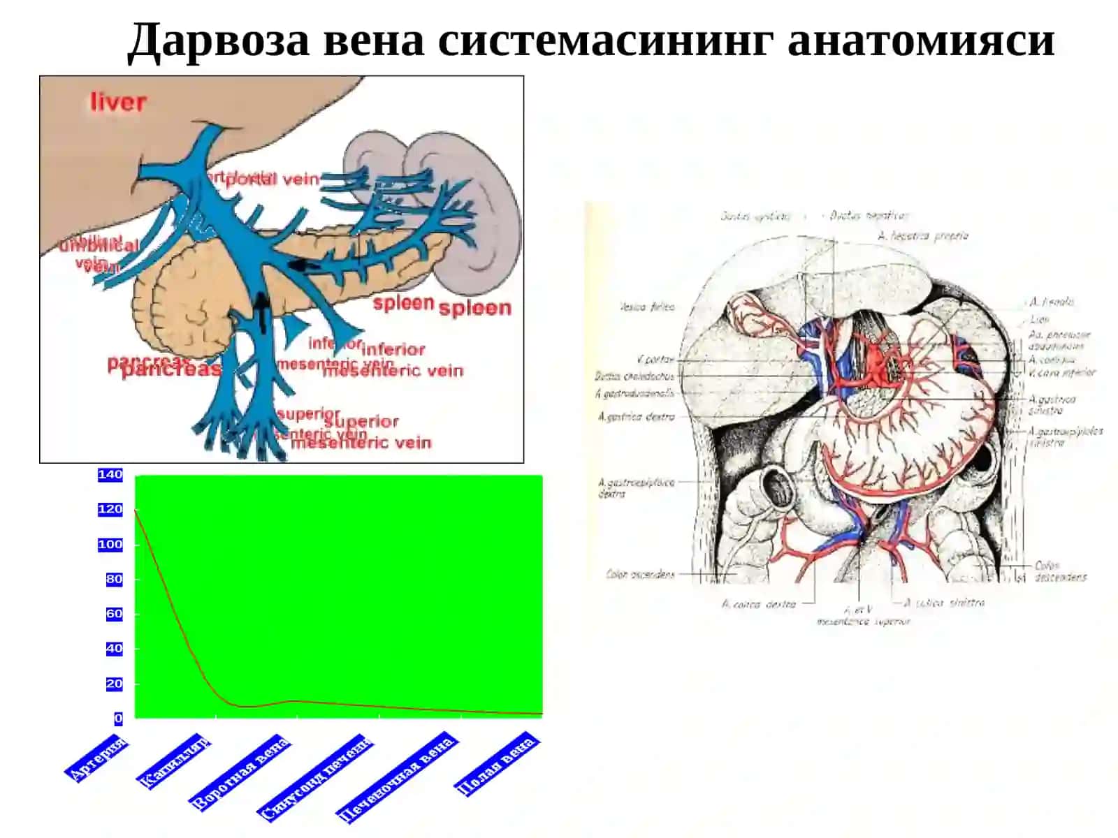 Портал гипертензия 2
