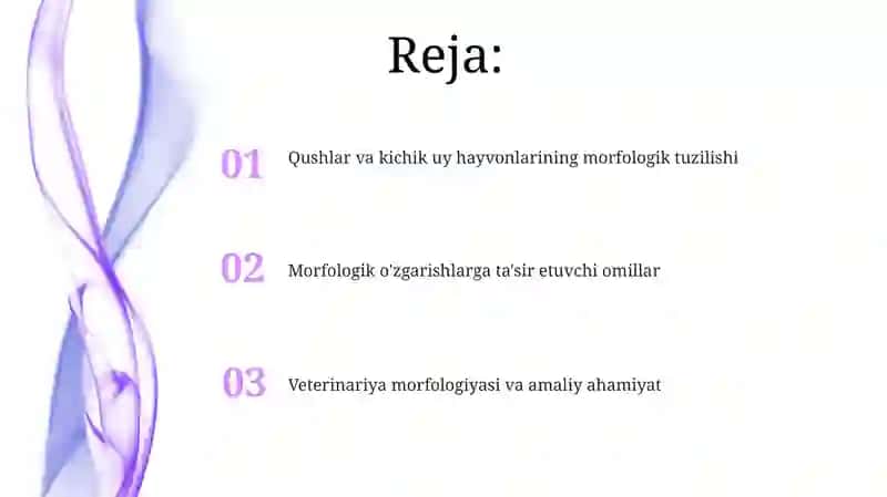 Kichik uy hayvonlarining morfologiyasi 2