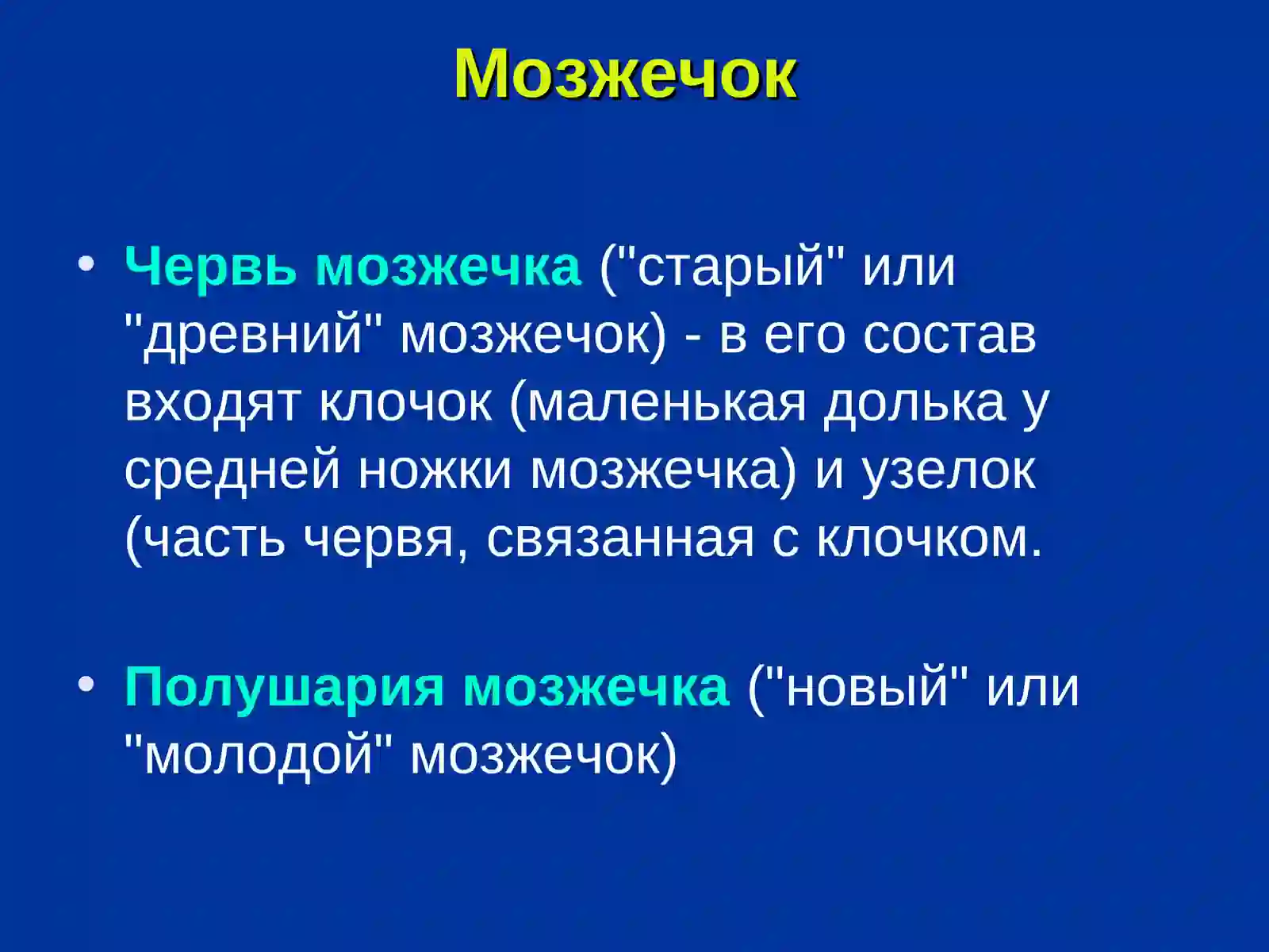 Мозжечок 2