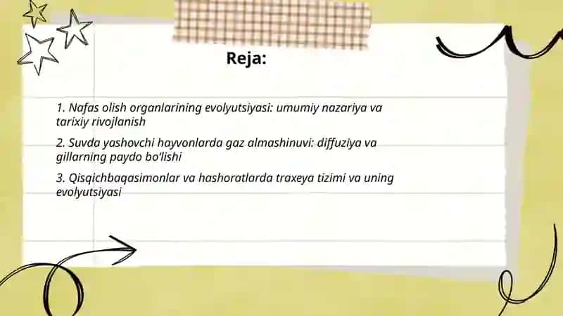 Hayvonlarning nafas olish organlarni evolutsiyasi 2
