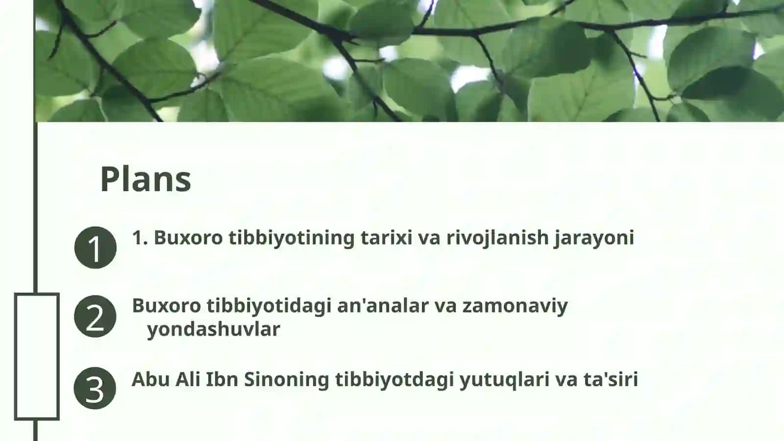 Buxoro davlatidagi tibbiyot va uning rivojlanish tarixi 2