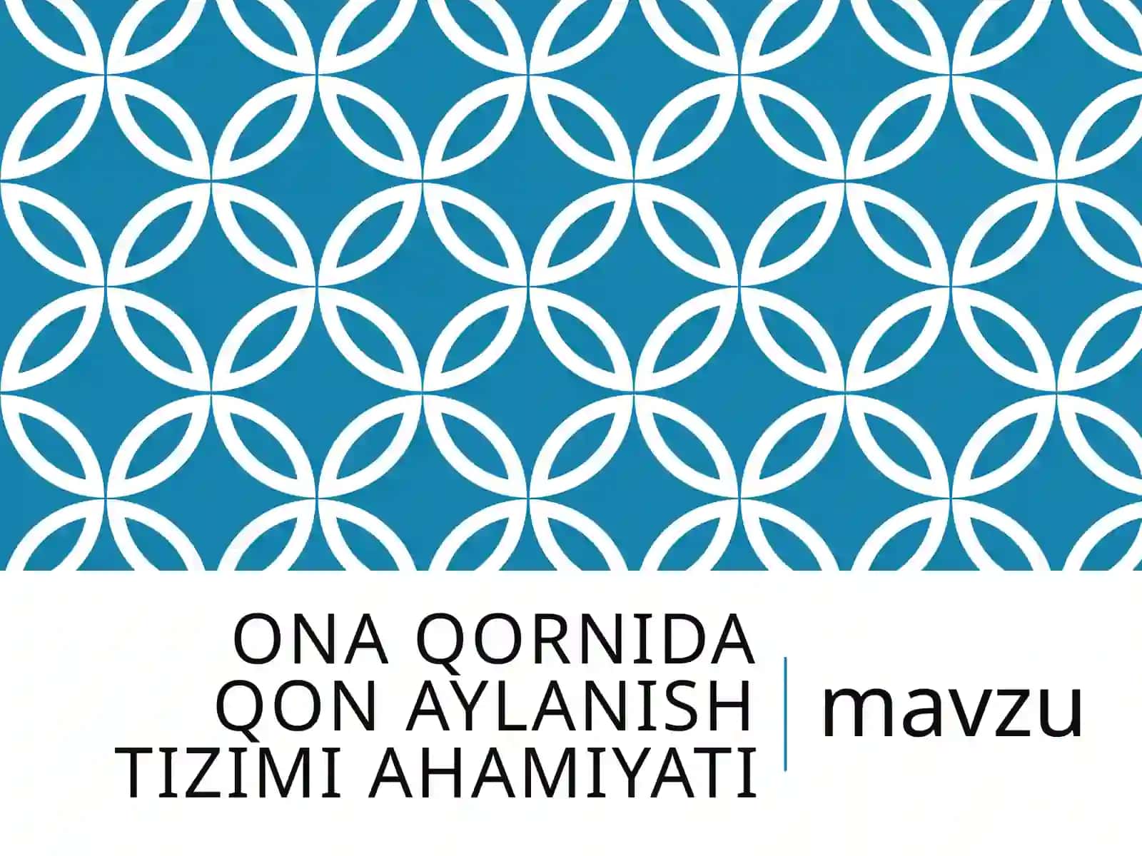 ona qornida qon aylanish tizimi 2