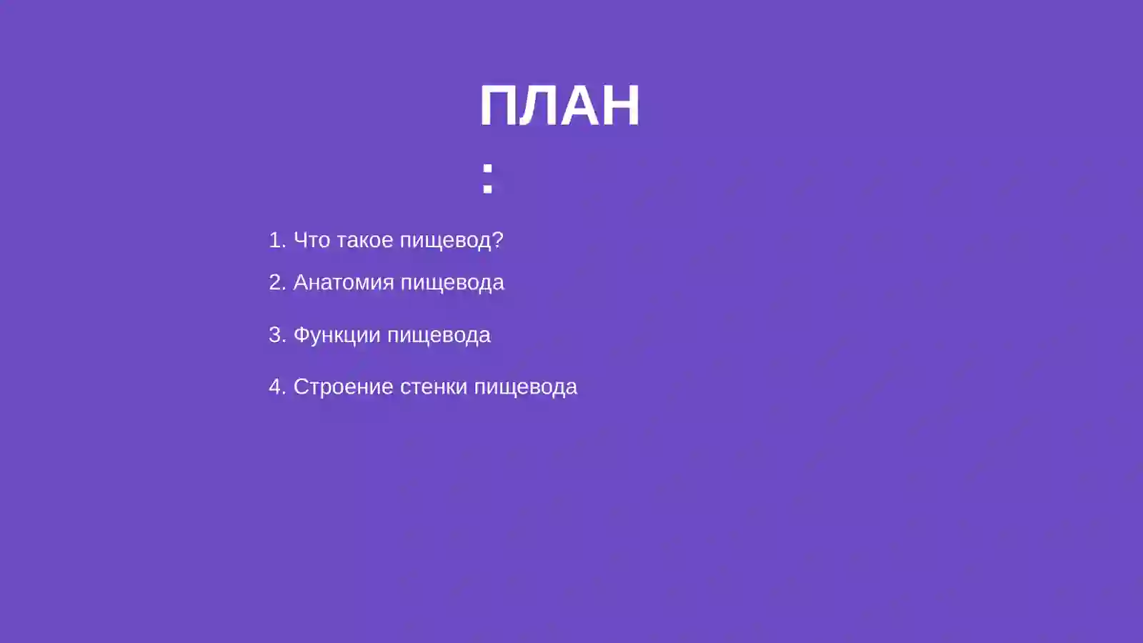 пищевод 2