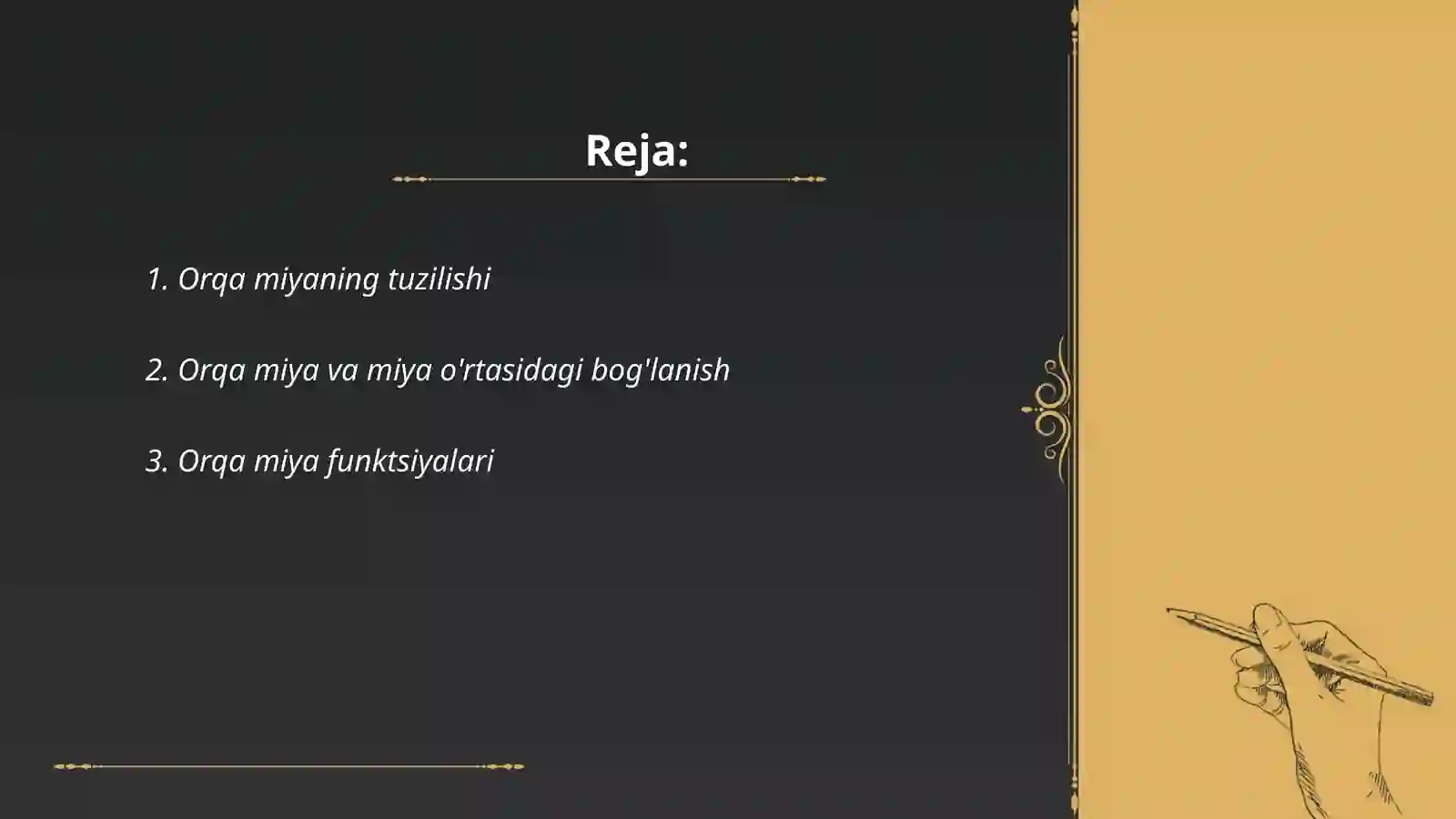 Orqa miya 2