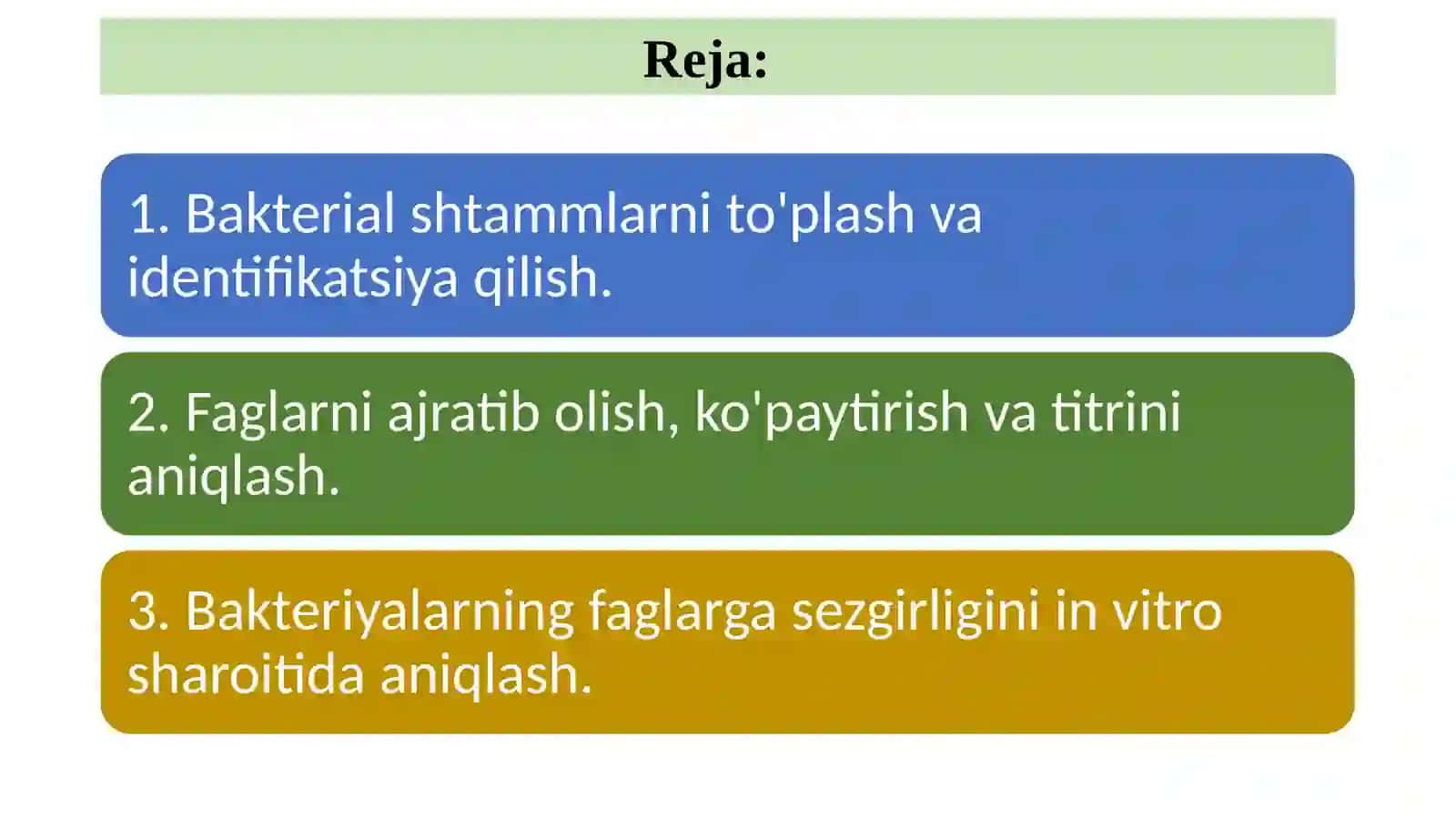 Bakteriyalarning faglarga sezgirligini o’rganish 2