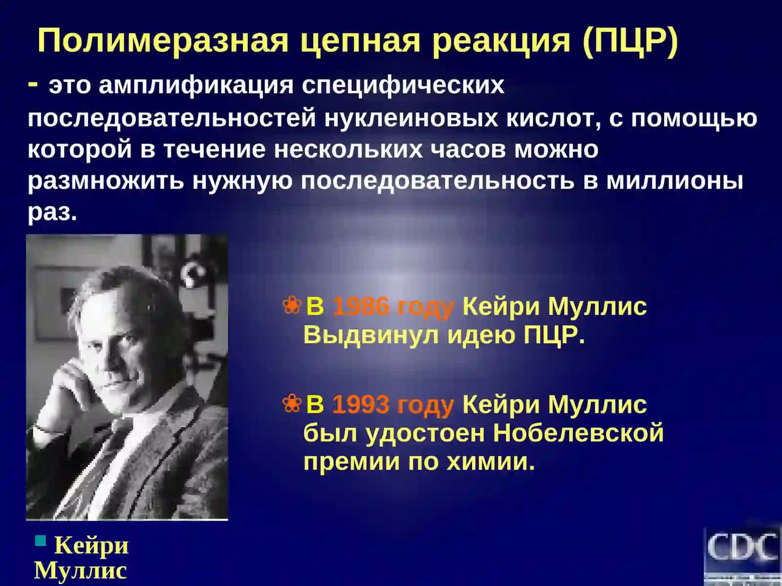 Полимеразная цепная реакция 2